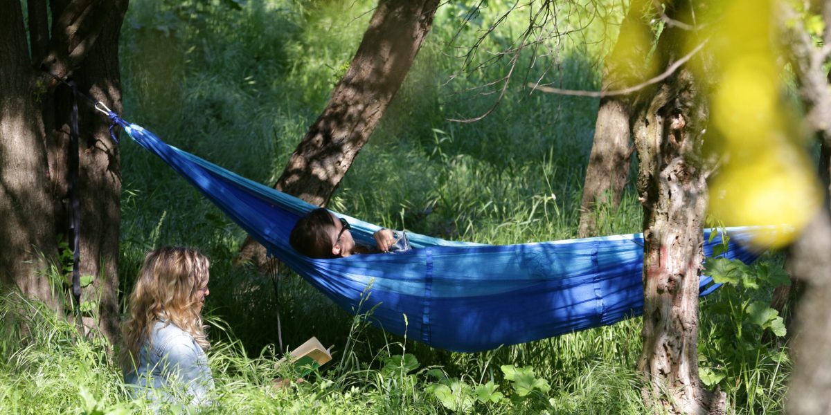 Școala care face elevi milionari: Mii de euro la concursul despre natură