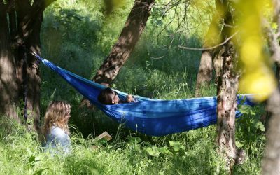 Școala care face elevi milionari: Mii de euro la concursul despre natură