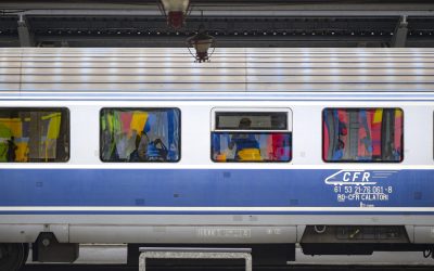 Copac prăbușit pe șine: Trenurile blocate pe ruta Brașov