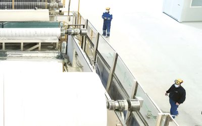 Socar și Regina: Ce planuri are gigantul Sofidel în România