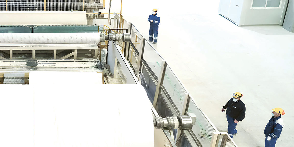 Socar și Regina: Ce planuri are gigantul Sofidel în România