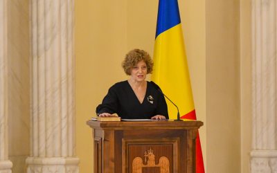 Afirmație ȘOC: Activitatea din Guvern a stârnit interese obscure