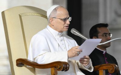 Leon, criticat dur pentru abordarea în politica externă