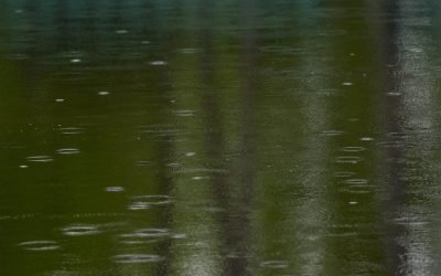 Prognoza meteo Augusta: Ce vreme va fi la turneul Masters