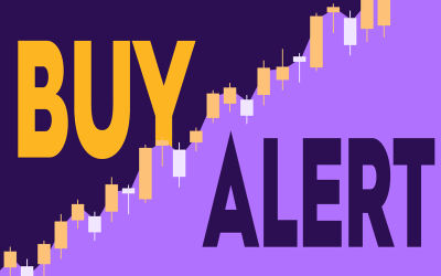 Acțiuni Navan: Directorul bagă 1,2 milioane $. Merită cumpărate acum?