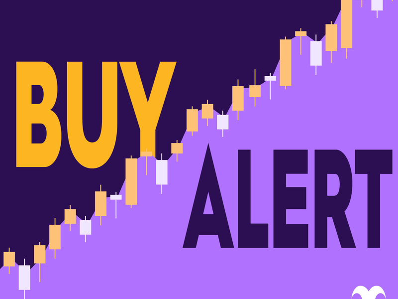 Is Navan Stock a Buy After a Director Purchased Company Shares Worth $1.2 Million?