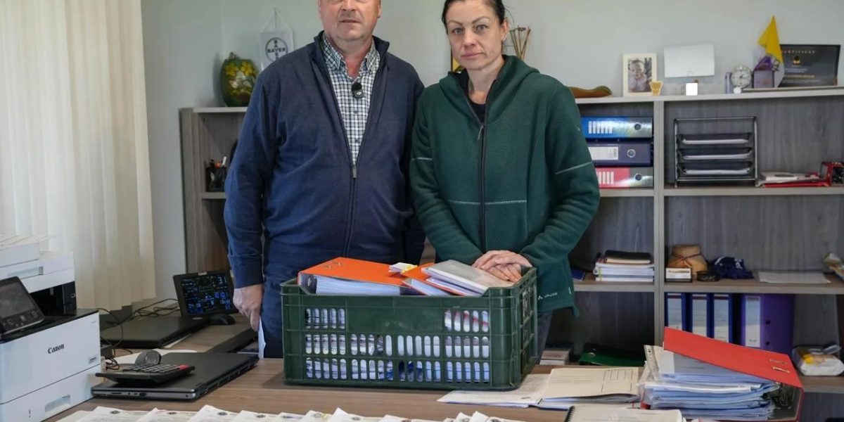 Birocrația ucide o fermă: Justiția ignorată, familie distrusă în România