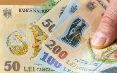 Banca Națională, ANCHETĂ-FURTUNĂ: 12.000 de gospodării, la LUPĂ