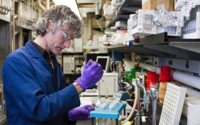 BofA micșorează ținta PFE: Acțiunile Pfizer, sub presiune pe bursă