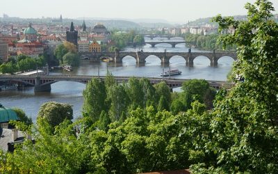 Autoritățile din CEHIA prelungesc viața unei centrale nucleare cu 20 de ani CEHIA continuă să mizeze pe energia nucleară