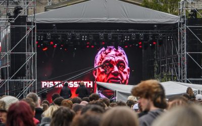 Lebedele negre zguduie Ungaria: Cine sunt surprizele de la alegeri