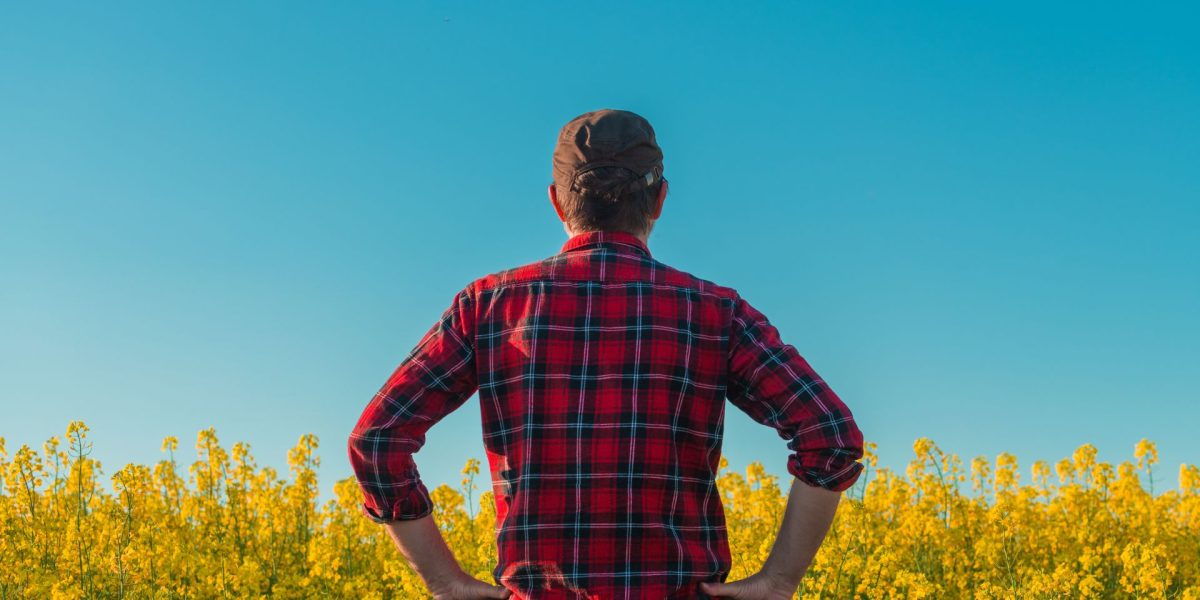 Manosphere: Ce e mișcarea ce inflamează bărbații? Politicieni BRITANICI, reacții dure