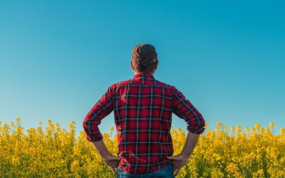 Manosphere: Ce e mișcarea ce inflamează bărbații? Politicieni BRITANICI, reacții dure