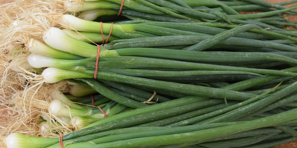 Ceapă verde în pahar, fără pământ: Trucul simplu de urmat