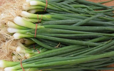 Ceapă verde în pahar, fără pământ: Trucul simplu de urmat