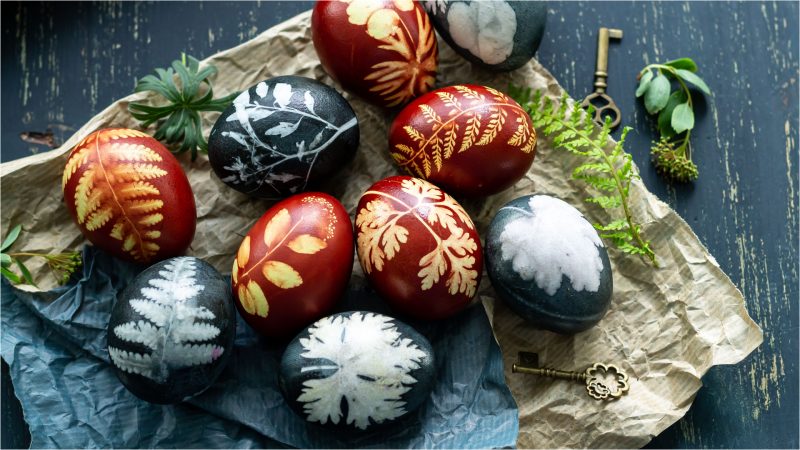 Roșu, mov, galben, albastru: Secretul culorilor dezvăluit