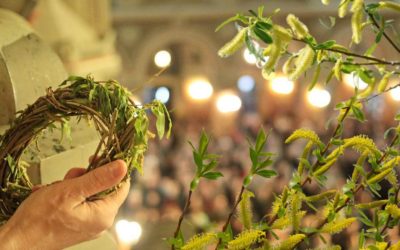 Florii 2026: De ce salcia sfințită îți aduce noroc în casă