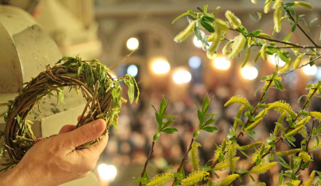 Florii 2026: De ce salcia sfințită îți aduce noroc în casă