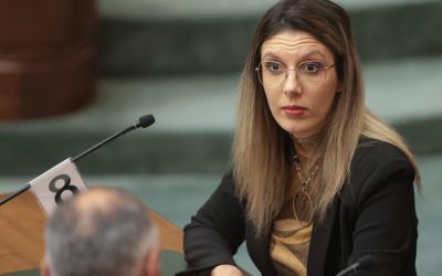 Arborii sacrificați, chiar și privați: Distrugerea spațiilor verzi, infracțiune gravă