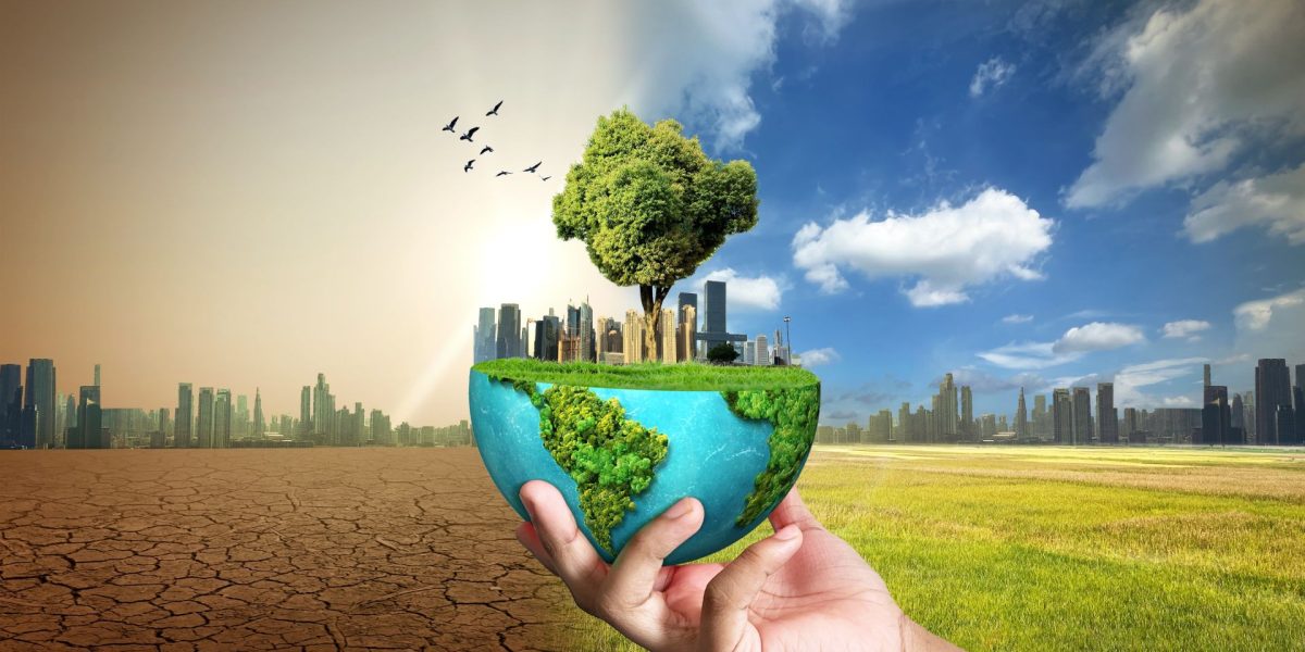 Efectele schimbărilor climatice, resimțite de-a lungul generațiilor Un nou studiu, publicat în revista Molecular Biology and Evolution, arată că schimbările climatice nu doar afectează organismele vii în prezent, ci pot genera efecte care se transmit și la generațiile viitoare