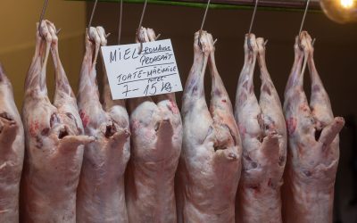 Amenzi usturătoare de la ANPC: Peste 6,3 milioane de lei pentru comercianții prinși cu nereguli București – Autoritatea Națională pentru Protecția Consumatorilor (ANPC) a dat amenzi de peste 6,3 milioane de lei în urma controalelor efectuate în perioada 30 martie – 3 aprilie