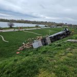 Camion cu 160 de oi morțe, răsturnat pe șosea