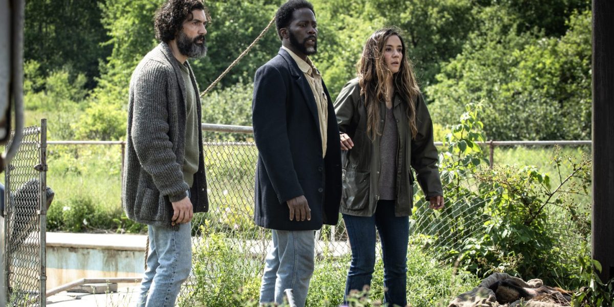 'From' Renewed For Fifth and Final Season (Exclusive)