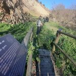 Minsiterul Mediului, undă verde pentru geoparcurile UNESCO din România