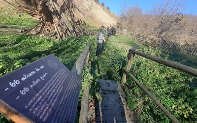 Minsiterul Mediului, undă verde pentru geoparcurile UNESCO din România