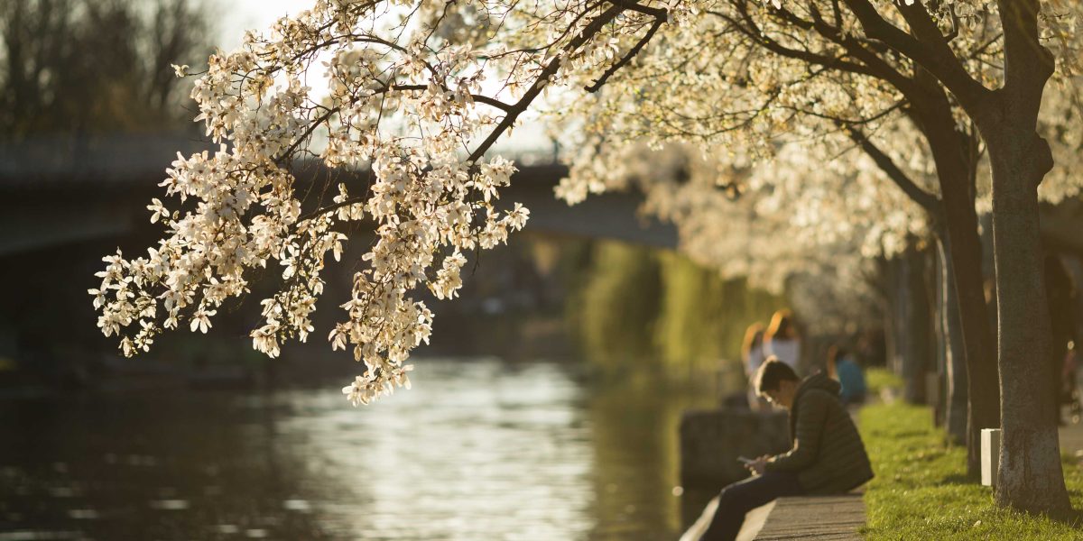 Prognoza meteo de paște: Cum va fi vremea de sărbători în România?