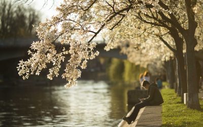 Prognoza meteo de paște: Cum va fi vremea de sărbători în România?