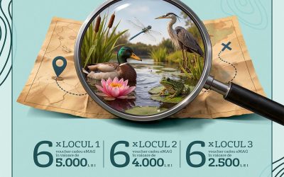 Veolia România continuă olimpiada de biodiversitate „natura dintre ape” la nivel național