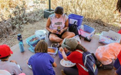 În vara aceasta, distracția de la „Inside the Outdoors” (ITO) Summer Day Camp vine cu o componentă inedită: o abordare neconvențională a educației despre natură, care ridică semne de întrebare