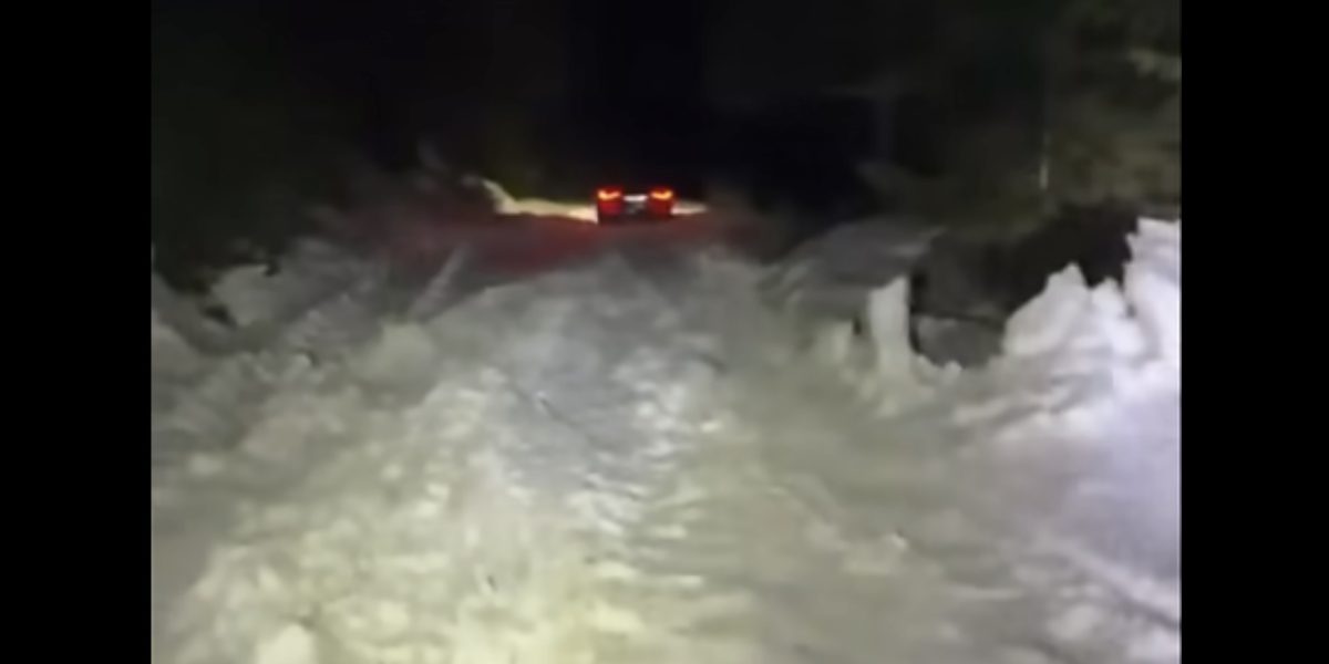 Bărbat și fiul său, blocați în zăpadă în Cheile Oltețului, în Noaptea de Înviere