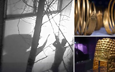 Noi detalii șocante din Olanda: Ce au vrut să fure hoții, dincolo de diamante