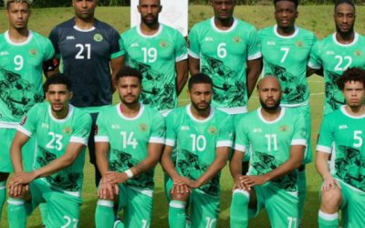 Naționala se vinde pe net: Își caută selecționer pe Facebook