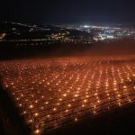 Cum salvează fermierii din Cluj culturile: Lumânările anti-îngheț, secretul lor