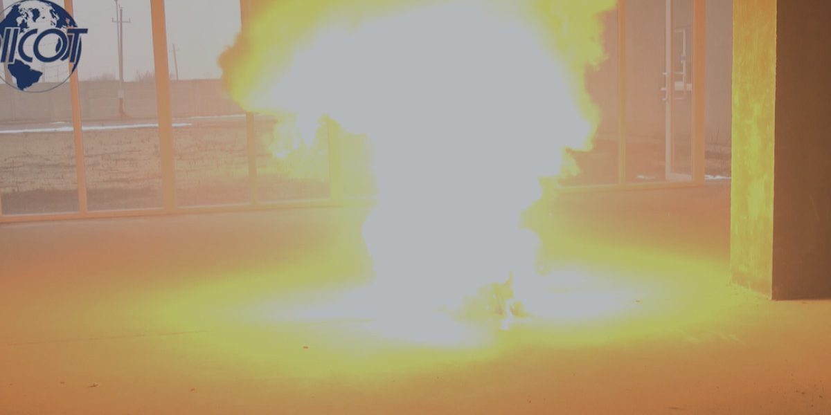 Ucraineni puși sub acuzare la București: Plănuiau atac la o firmă