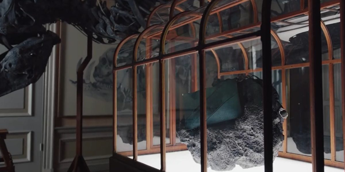 Geanta de mână din colagen de dinozaur, vedeta unei licitații spectaculoase O geantă de mână unicat, confecționată din colagen extras din fosile de Tyrannosaurus rex, va fi scoasă la licitație cu un preț de pornire estimat la peste jumătate de milion de dolari