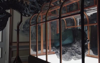 Geanta de mână din colagen de dinozaur, vedeta unei licitații spectaculoase O geantă de mână unicat, confecționată din colagen extras din fosile de Tyrannosaurus rex, va fi scoasă la licitație cu un preț de pornire estimat la peste jumătate de milion de dolari