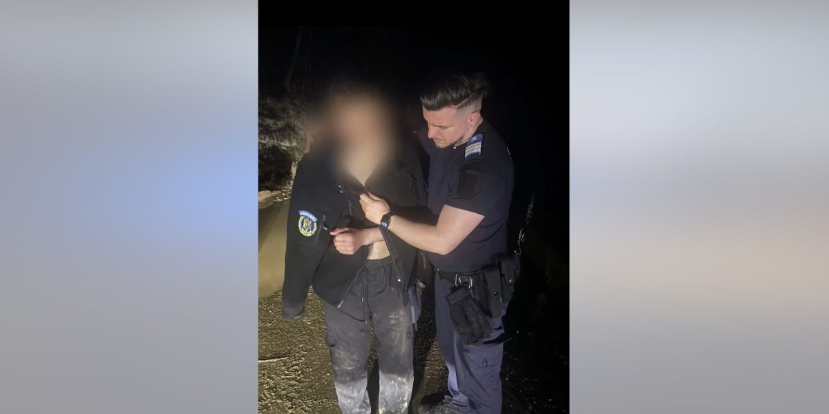 Tânăr, Fugărit de Urs, Scăpat Ca Prin Minune cu Ajutorul Jandarmilor