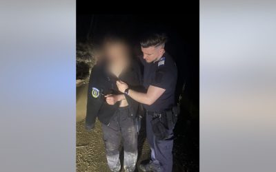 Tânăr, Fugărit de Urs, Scăpat Ca Prin Minune cu Ajutorul Jandarmilor