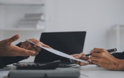 Interzicerea vânzării activelor statului în companii strategice, în procedură de urgență