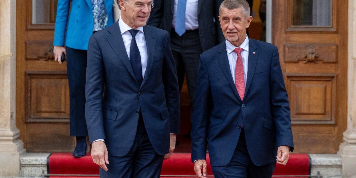 Babis, la NATO: Pragmatism ceh, dar taie fondurile Apărării