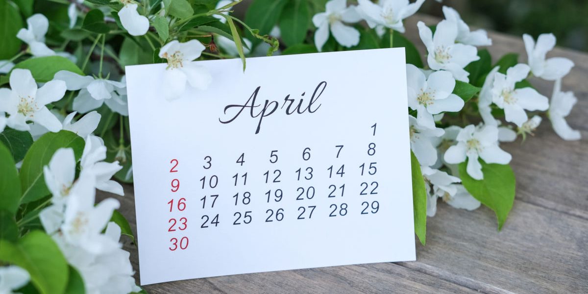 Floriile 2026: Tradiție, Bucurie și Sărbătorirea Numelui București, 2 aprilie 2024 – Creștinii ortodocși vor sărbători Duminica Floriilor pe 5 aprilie 2026, una dintre cele mai importante sărbători din calendarul creștin