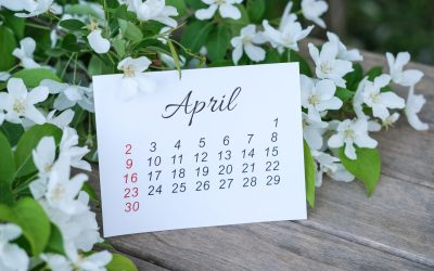 Floriile 2026: Tradiție, Bucurie și Sărbătorirea Numelui București, 2 aprilie 2024 – Creștinii ortodocși vor sărbători Duminica Floriilor pe 5 aprilie 2026, una dintre cele mai importante sărbători din calendarul creștin