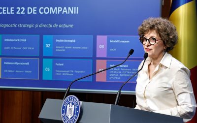 Gheorghiu, acuzații grave: Conductă furată, statul plătește în continuare