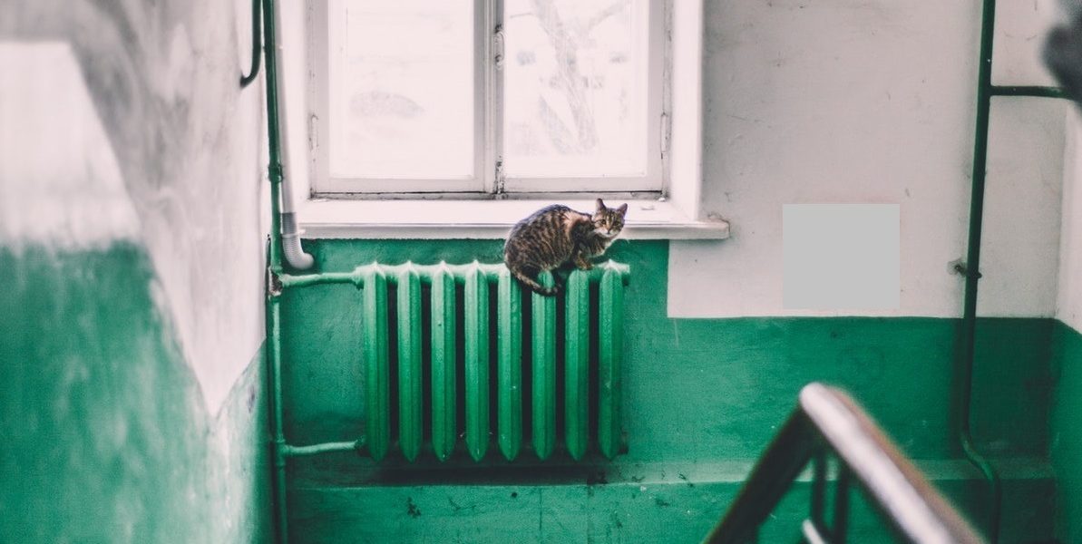 La Oradea se analizează repornirea încălzirii centralizate din cauza temperaturilor scăzute / Tempera scade aici, pe timpul nopții, până la 2 grade Celsius