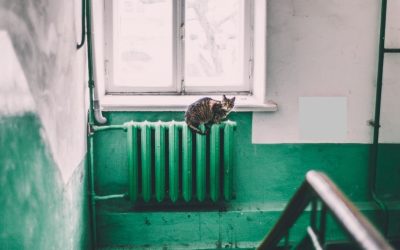 Oradea: ANPC ia în calcul reluarea căldurii din cauza vremii reci