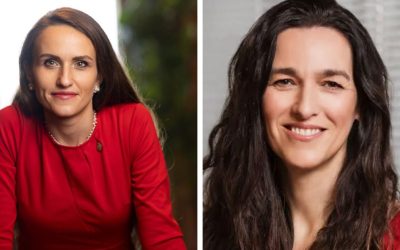 Oana Țoiu, dialog cu noul ministru de Externe de la Budapesta: Schimbare de direcție?